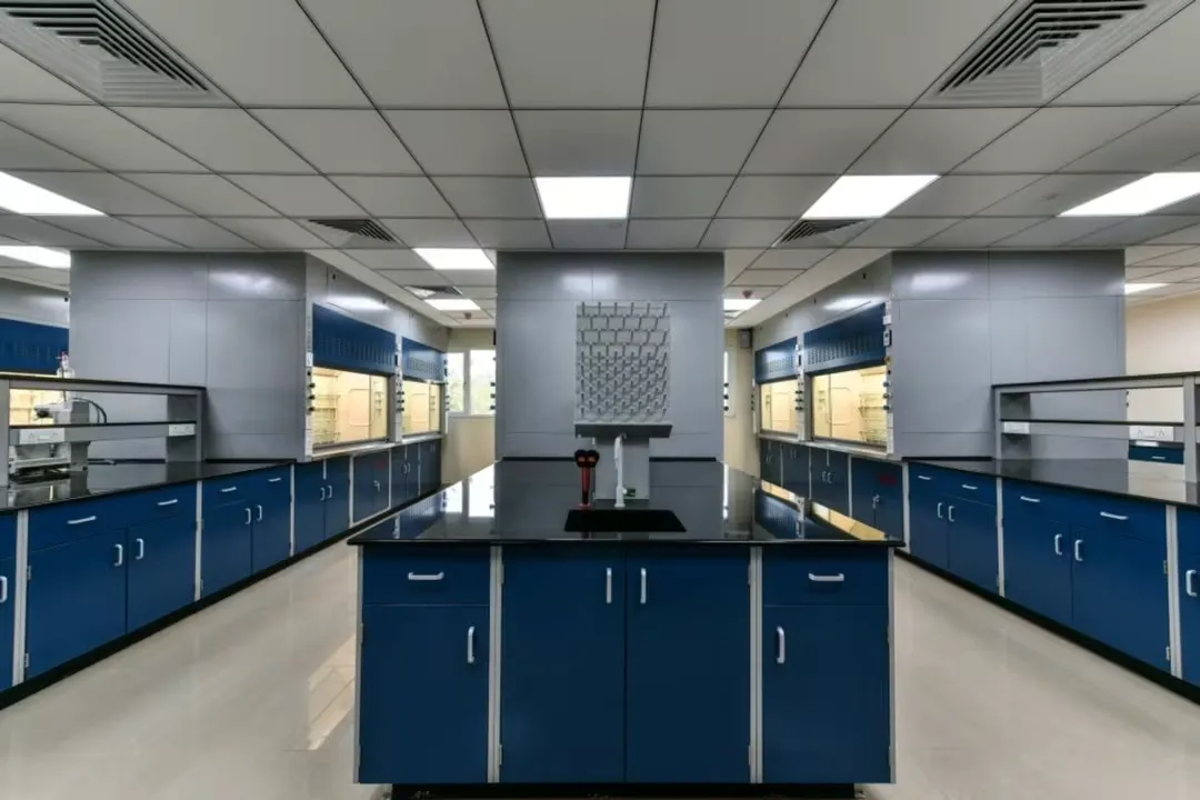 Transforming Laboratory Spaces with Innovative Solutions